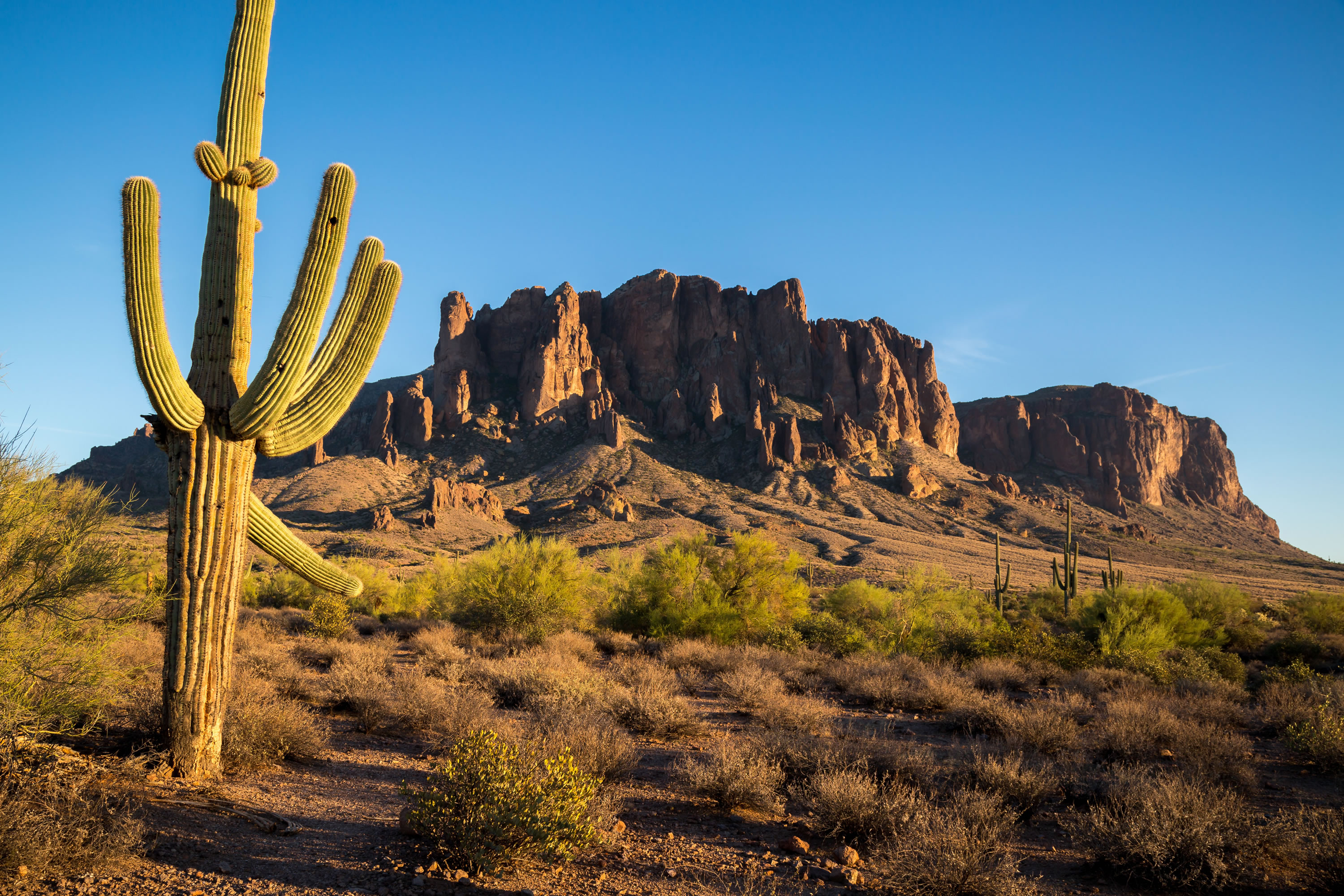 Arizona, USA