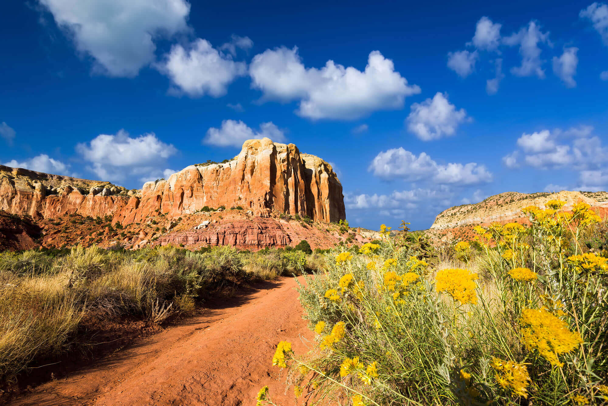 New Mexico, USA