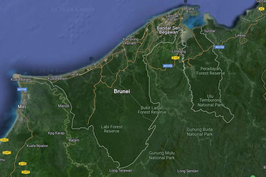 Brunei satellite map