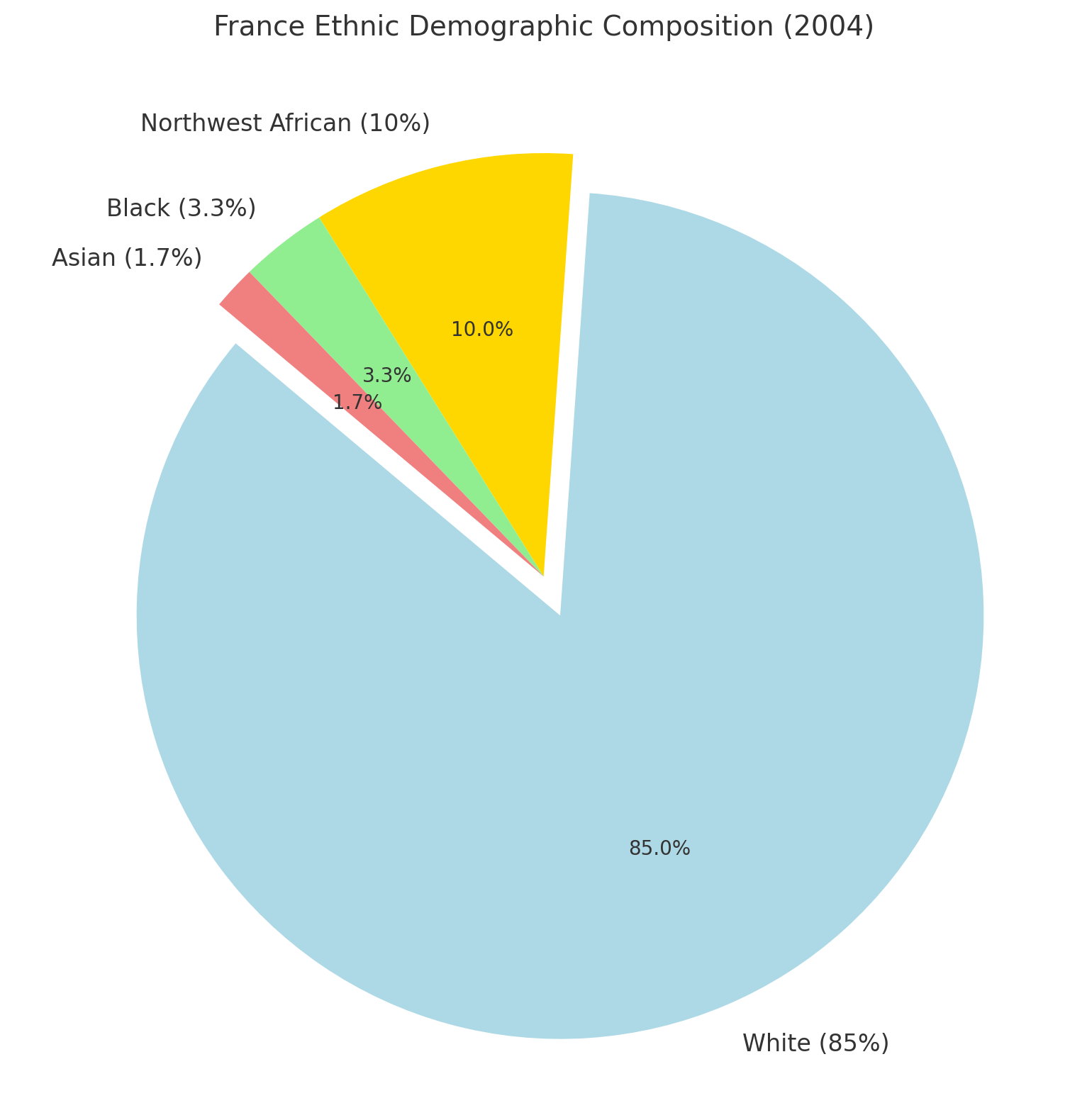 France Ethnic Demographic Composition 2004