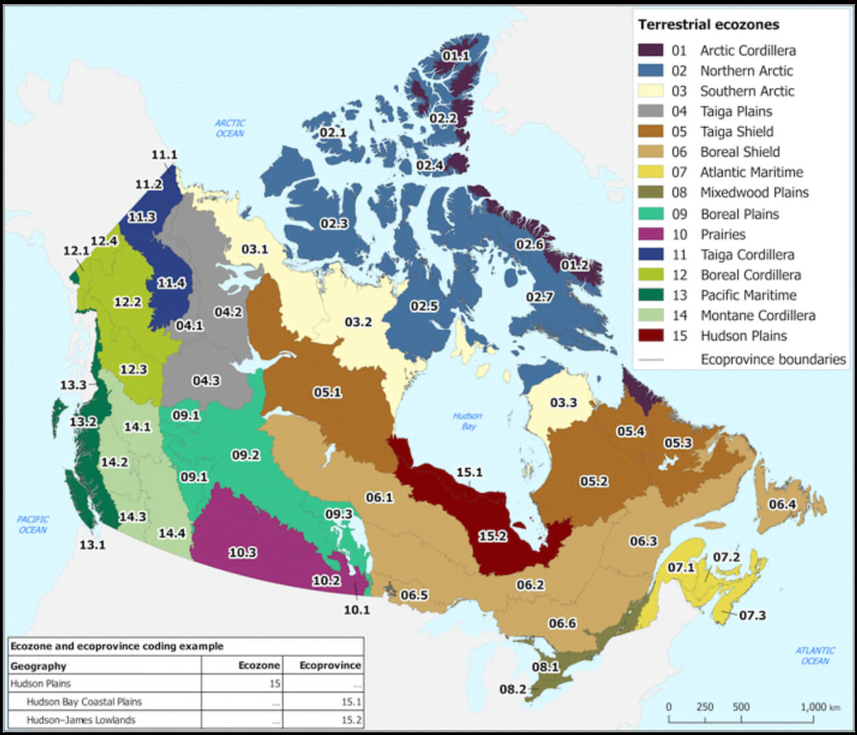 Canada terrestrial ecozones map