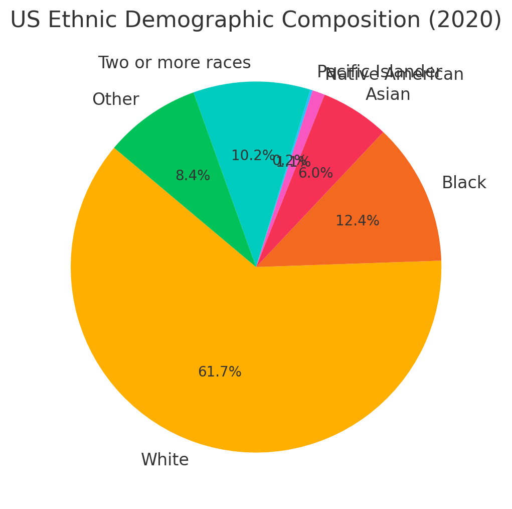 US Ethnic Demographic Composition (2020)