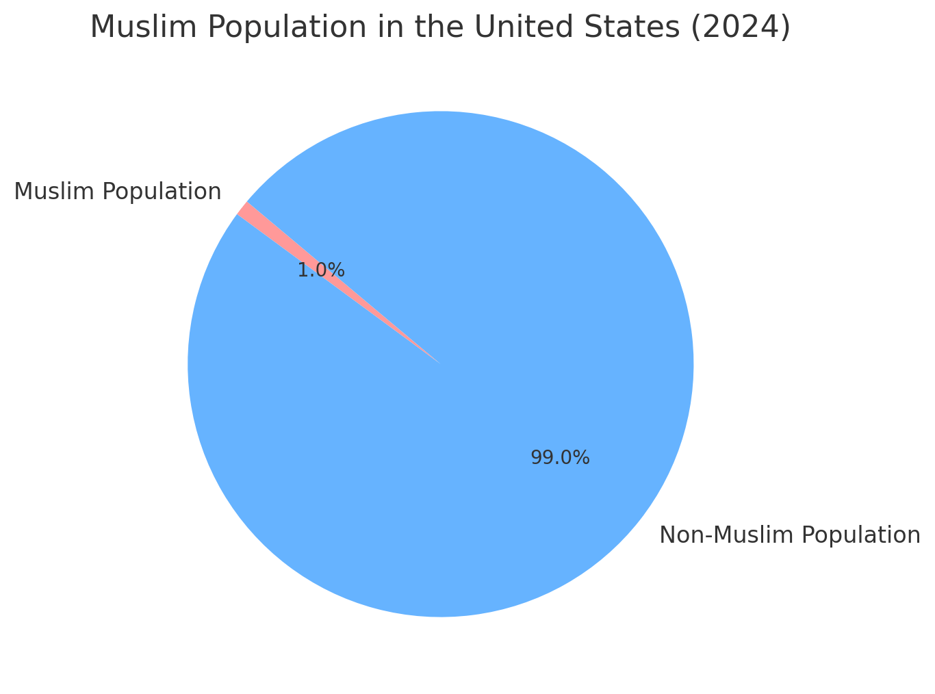 Muslim Population in the United States (2024)