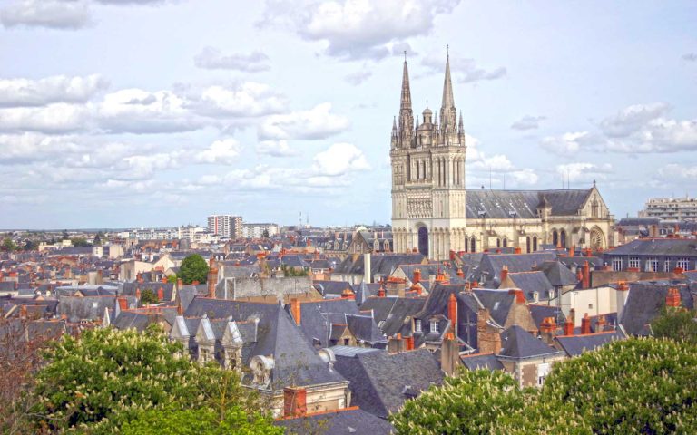 Angers City View