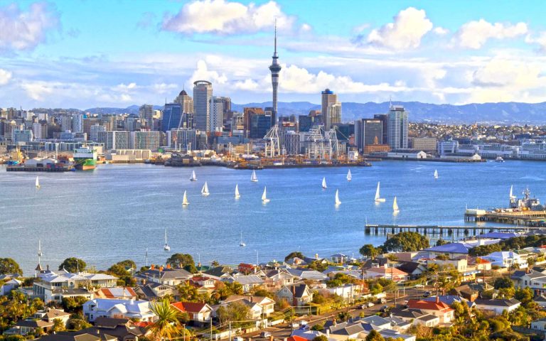 Auckland City View